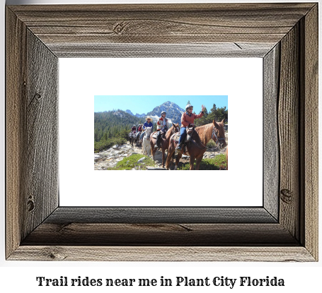 trail rides near me in Plant City, Florida